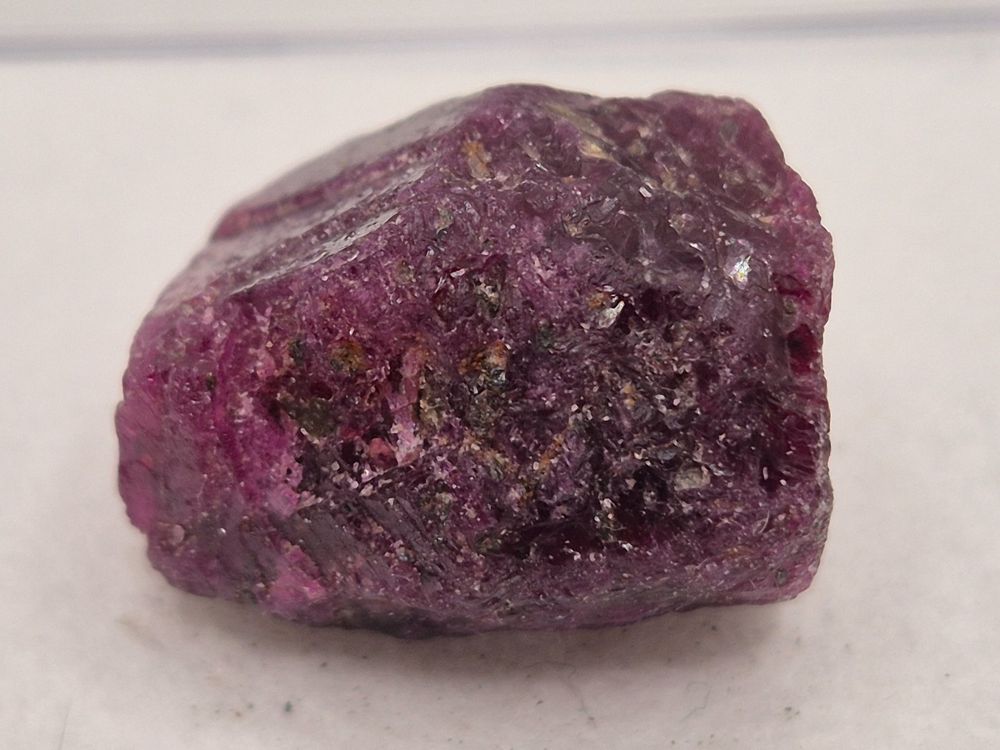 Roh Rubin – 24.3ct – Karnataka, Indien (Neu und originalverpackt) in ...