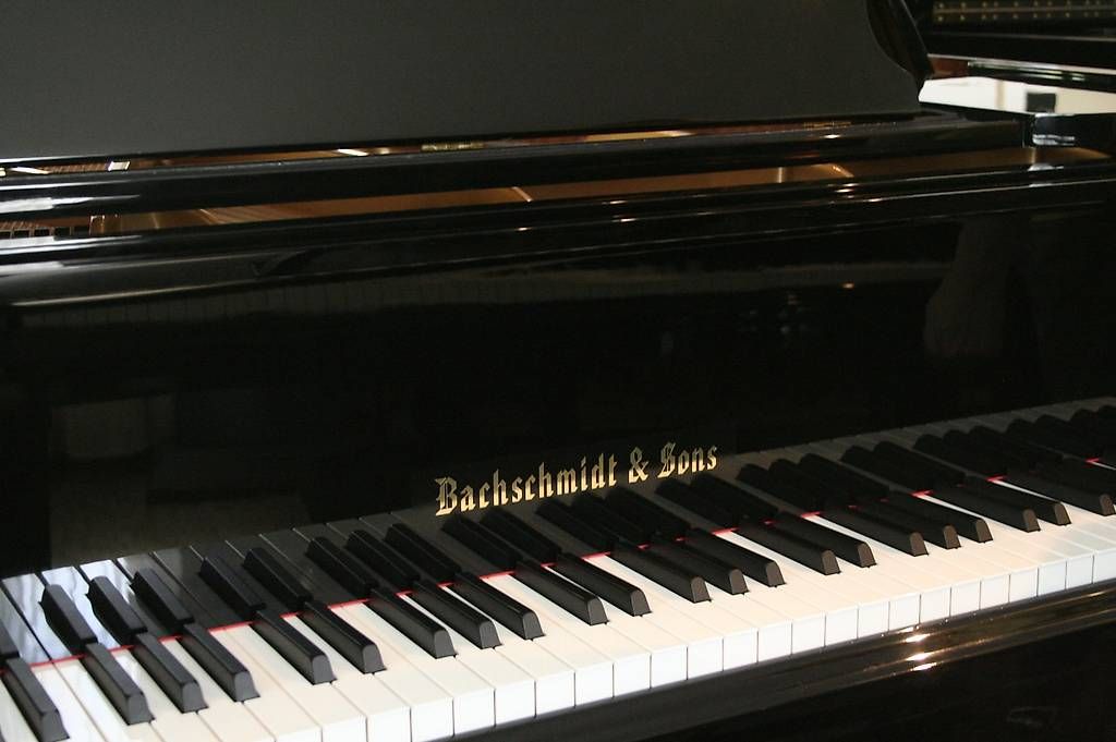 Strumenti musicali: Bachschmidt & Sons 160 Silent – Usato da Bern venduto da Heutschipiano 1