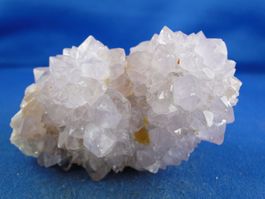 Quartz var. Amethyst & Kaktus