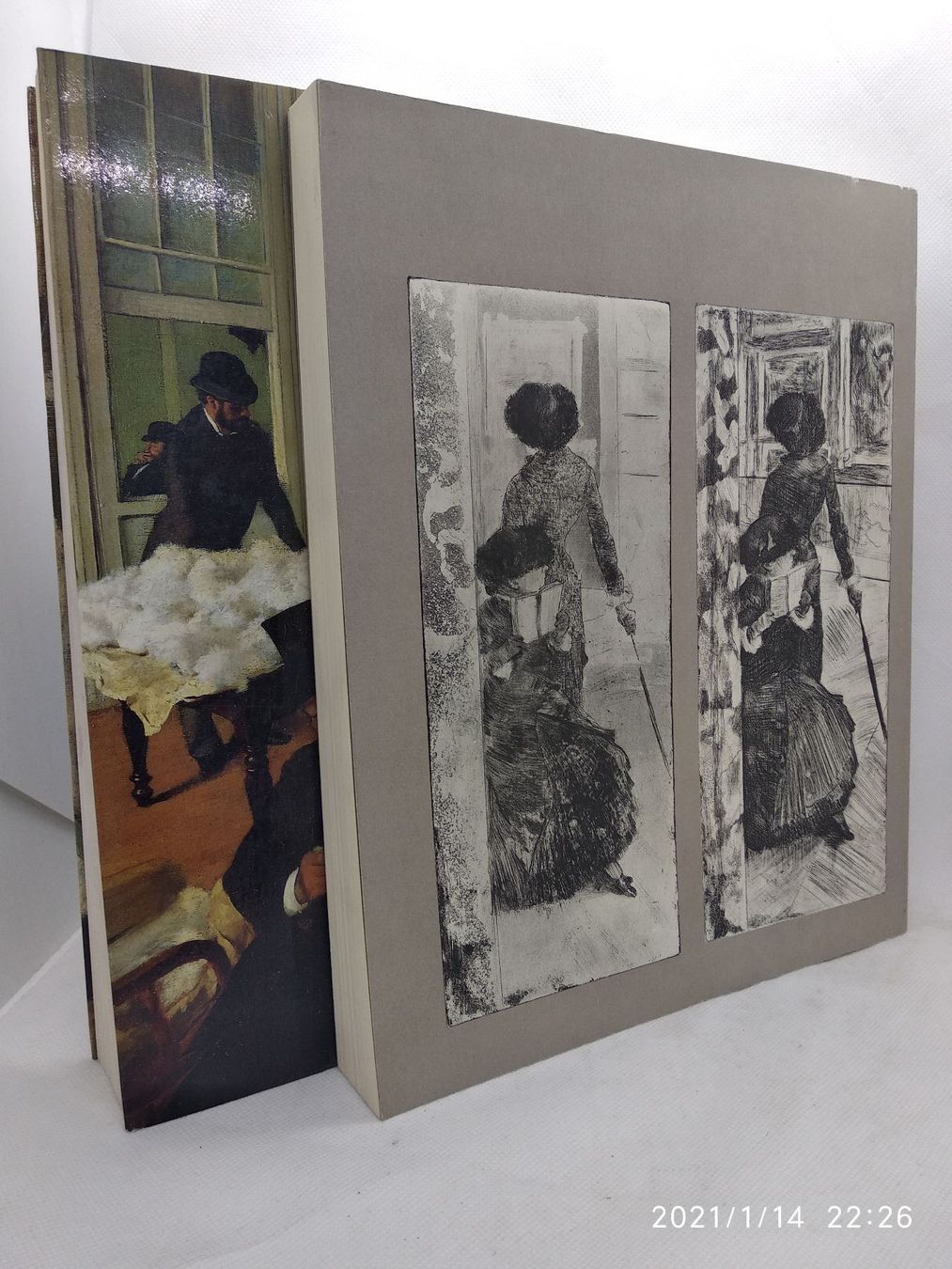 Libri: EDGAR DEGAS - 2 TITEL – Usato da Goldach venduto da Gaip 2