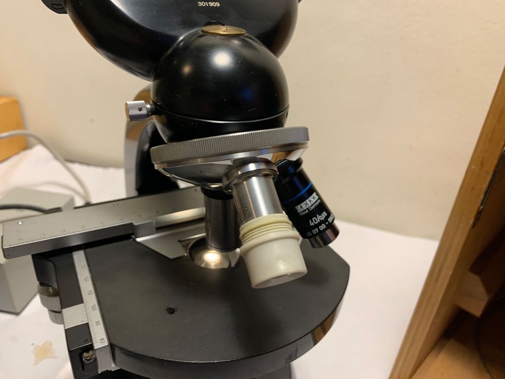 Microscope binoculaire Zeiss Winkel Kaufen auf Ricardo