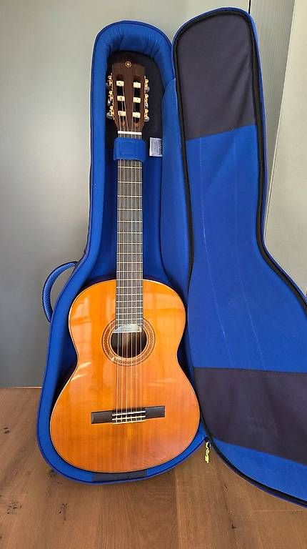 Yamaha Strumenti musicali: Gitarre – Nuovo (secondo la descrizione) da Mettmenstetten venduto da Sa.schmid