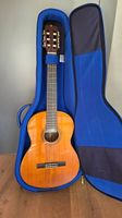 Gitarre