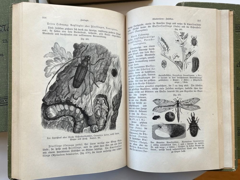 Livres: Schoedlers Buch der Natur 4 Bände 1897- 1904 – D'occasion à Laufen par Nuria44