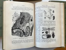 Schoedlers Buch der Natur 4 Bände 1897- 1904