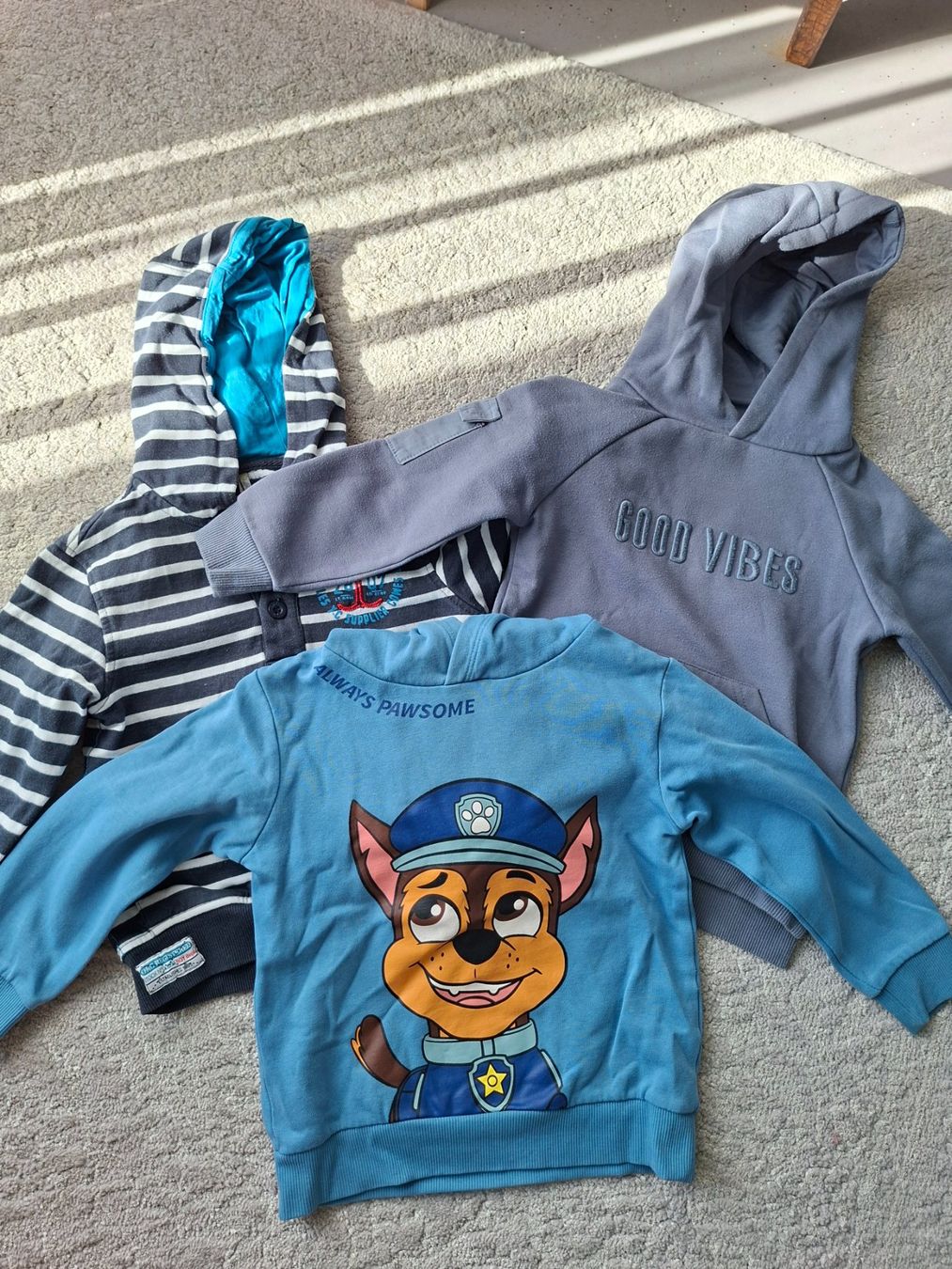 Maglioni & Felpe: 3 Kapuzenpullover Gr. 98/104 – Usato da Münchenbuchsee venduto da lanereal