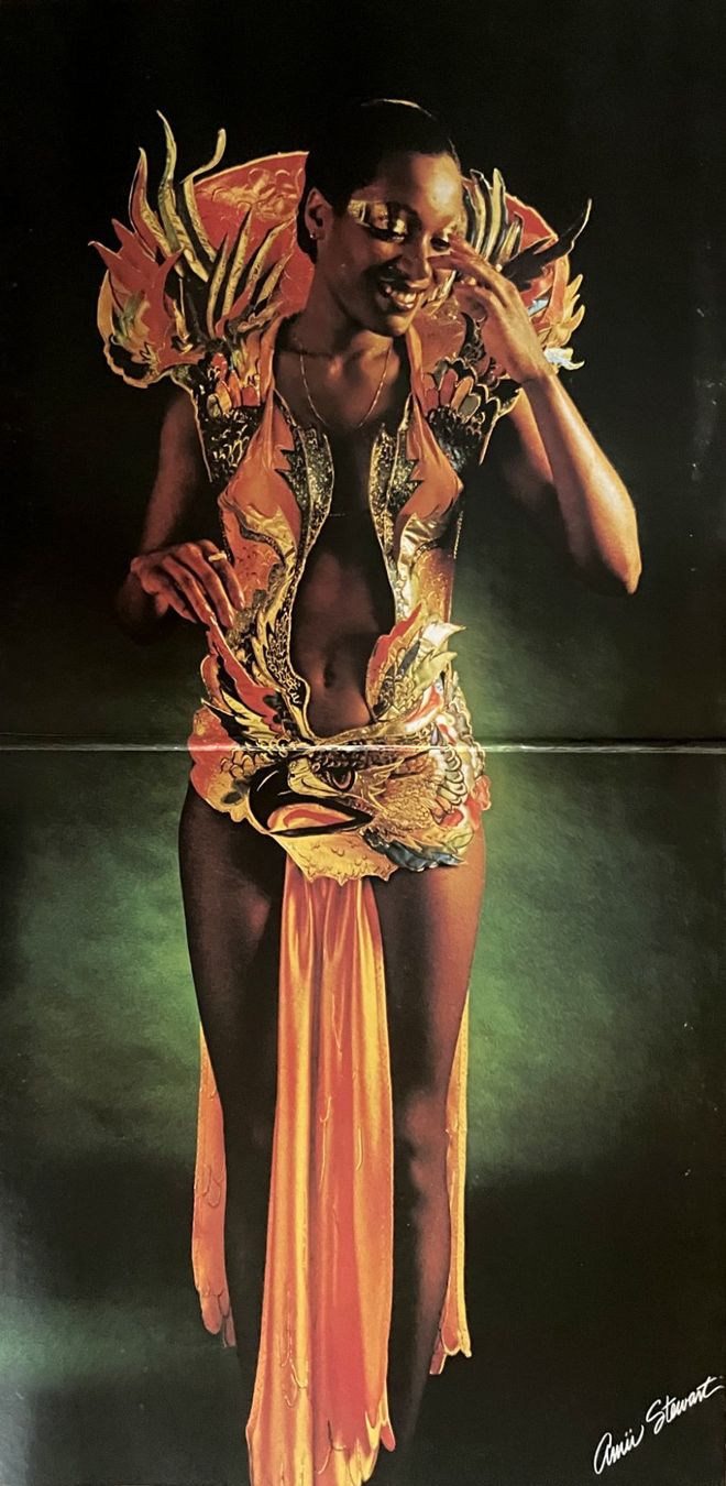 Schallplatten: Amii Stewart - Paradise Bird – Gebraucht aus Savagnier von Ne2065 1