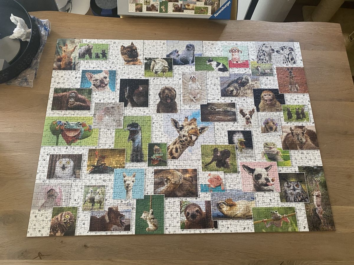 Ravensburger Puzzle: Puzzle Funny Animals 1500 Teile – Usato da Laupersdorf venduto da eliza23
