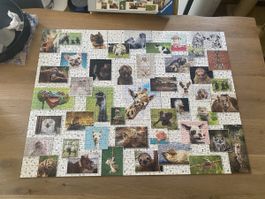 Puzzle Funny Animals 1500 Teile
