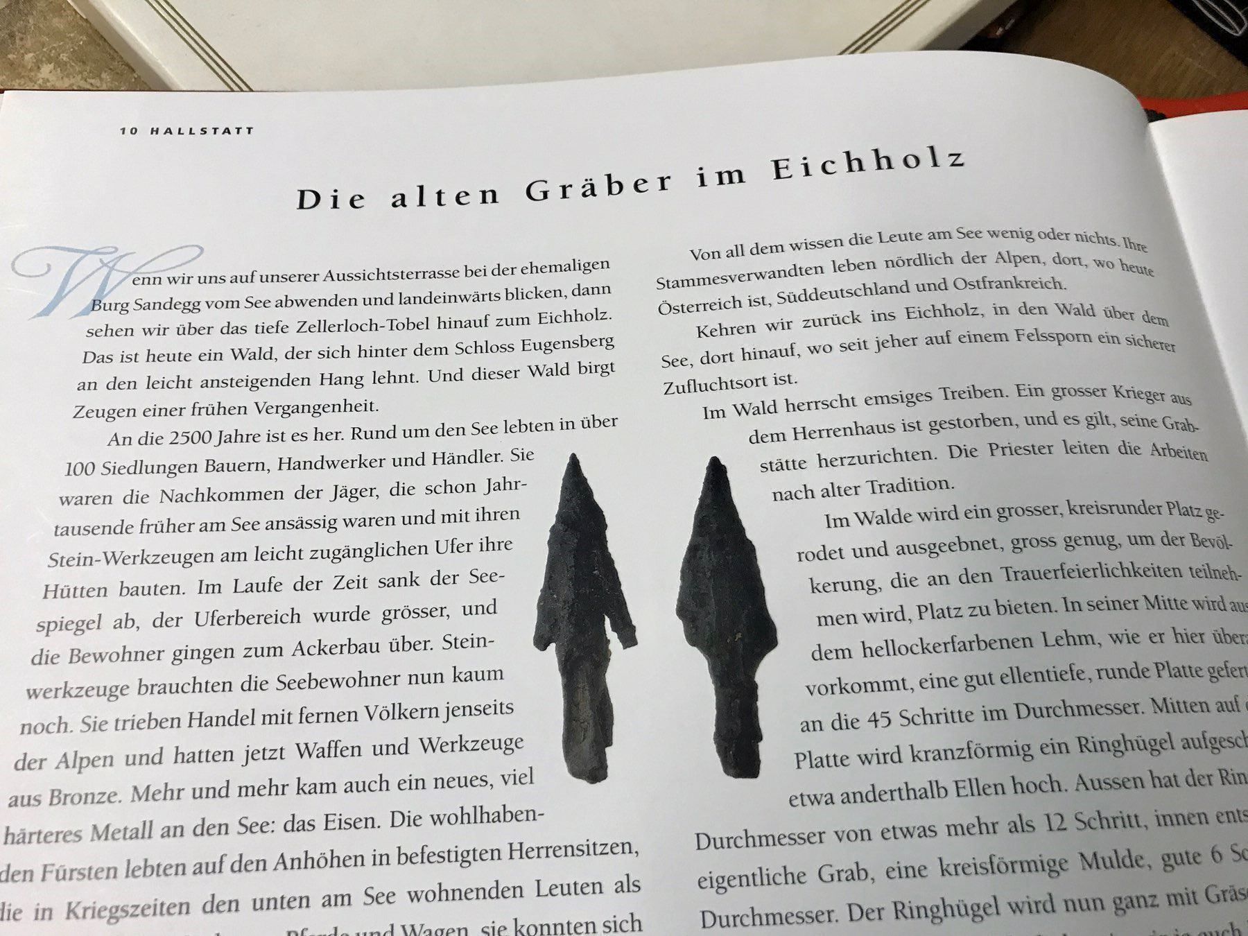 Libri: Schloß Eugensberg - Prunkvolles Buch – Nuovo e nell'imballaggio originale da Frasnacht venduto da Kulturpalast 8