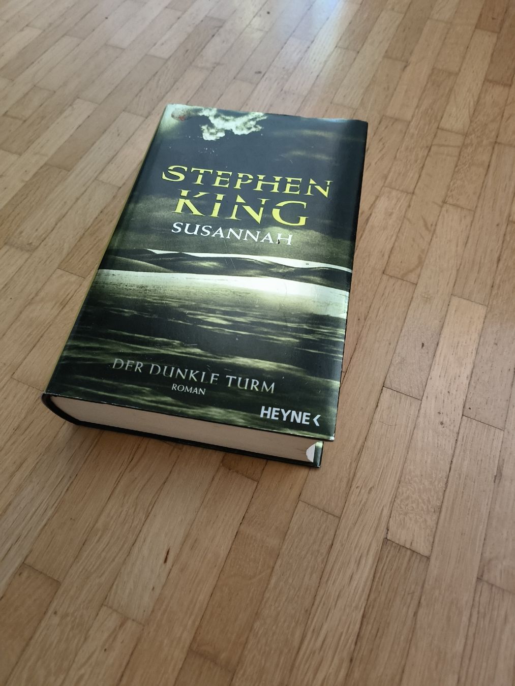 Bücher: Stephen King Susannah Der Dunkle Turm Roman gebraucht – Gebraucht aus Ittigen von looslim 1