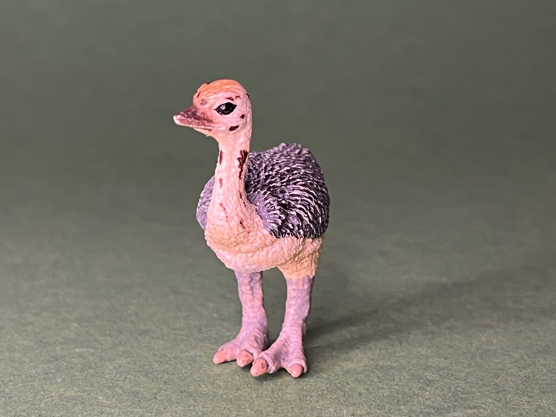 Schleich Figuren: Schleich 14398 Straussenjunges Strauss – Gebraucht aus Ennetbaden von mapa05 3