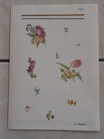 Wunderschöne Vintage Blumenmuster-Drucke, Magazin 5 Stück
