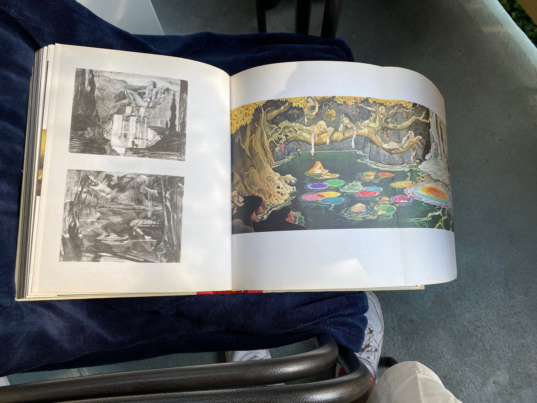Libri: Walt Disney Sein Leben Seine Kunst – Usato da Zürich venduto da Pyramid1 7