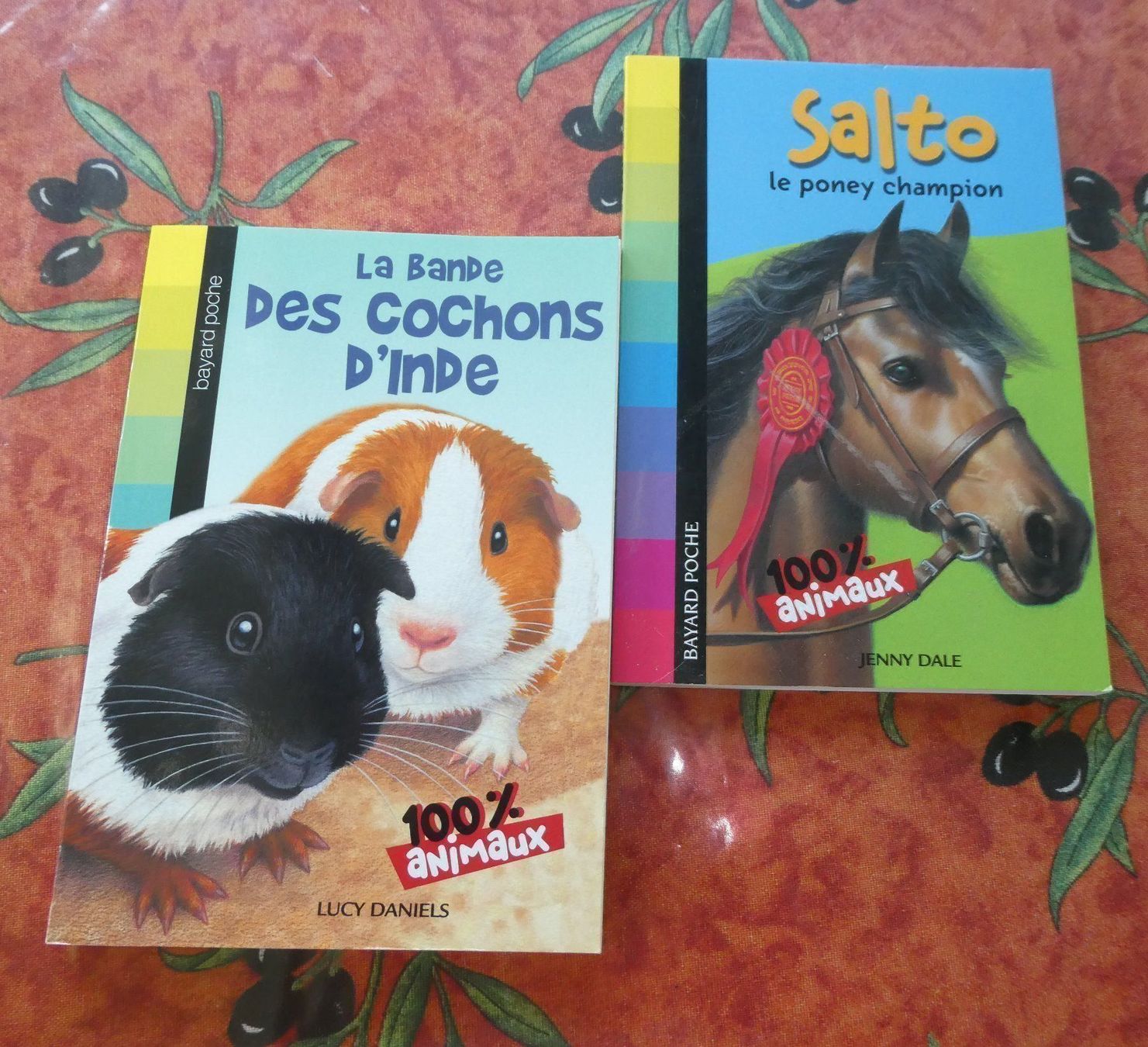 Livres: 2 pces :Salto le ponney - Cochons d'Inde – Neuf (Voir description) à Troistorrents par Marion70