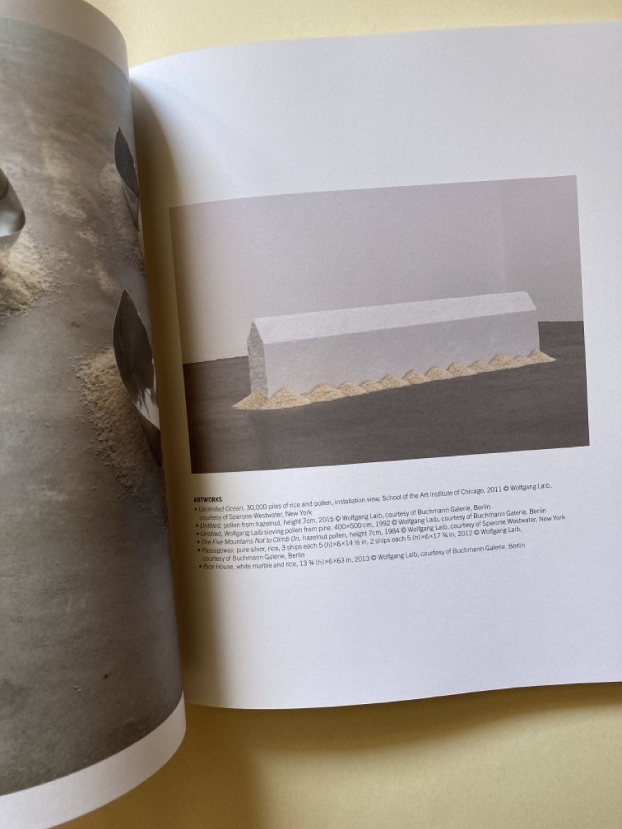 Libri: ARS VITAE Vol. 04 Cleaning/Cleansing, Expl. 99/650 – Usato da Zürich venduto da 000rk 3