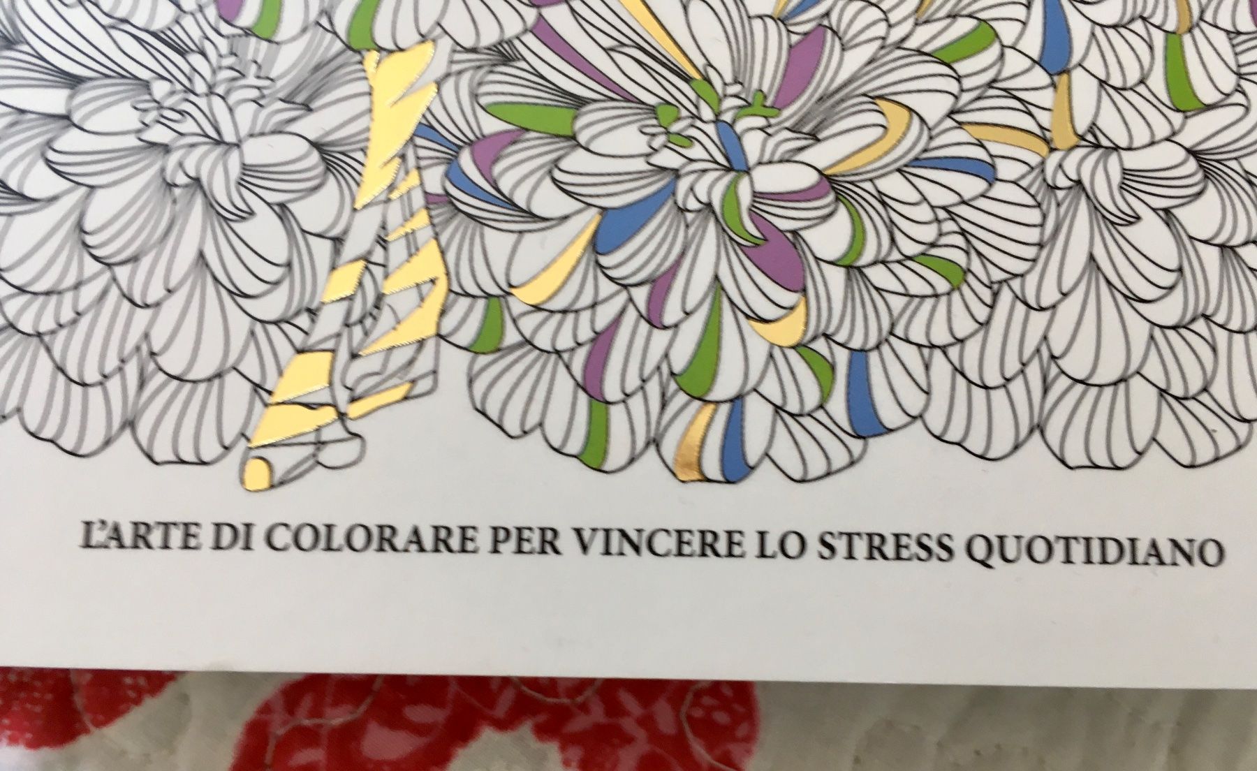 Livres: Malbuch Libro da colorare 365 giorni – D'occasion à Bellinzona par LuganoBoutique