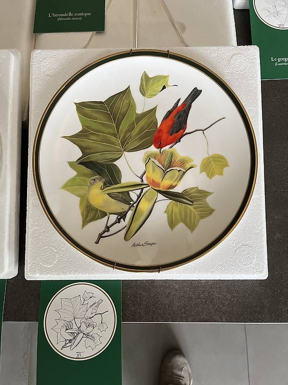 Piatti: Assiettes de collection  – Usato da Neuchâtel venduto da pat_8dbd 1
