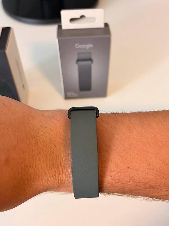 Armbänder & -reifen: Google Fitbit Air mit Premium-Armband – Gebraucht aus Zürich von tobigs 2