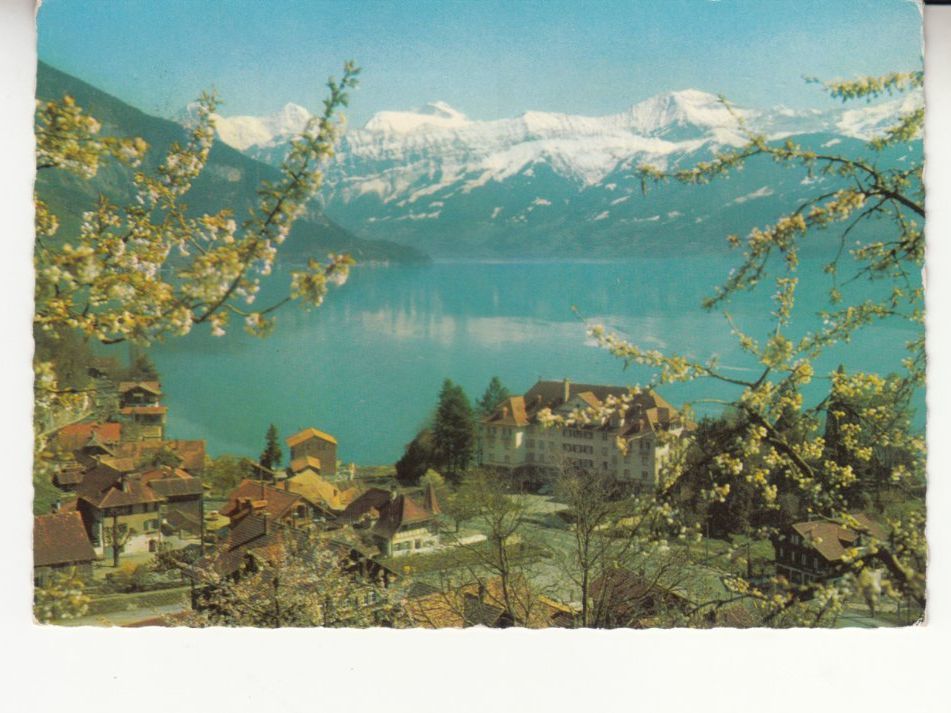 Cartoline postali: Gunten Parkhotel ca. 1965 – Usato da Bürglen TG venduto da StampGraf