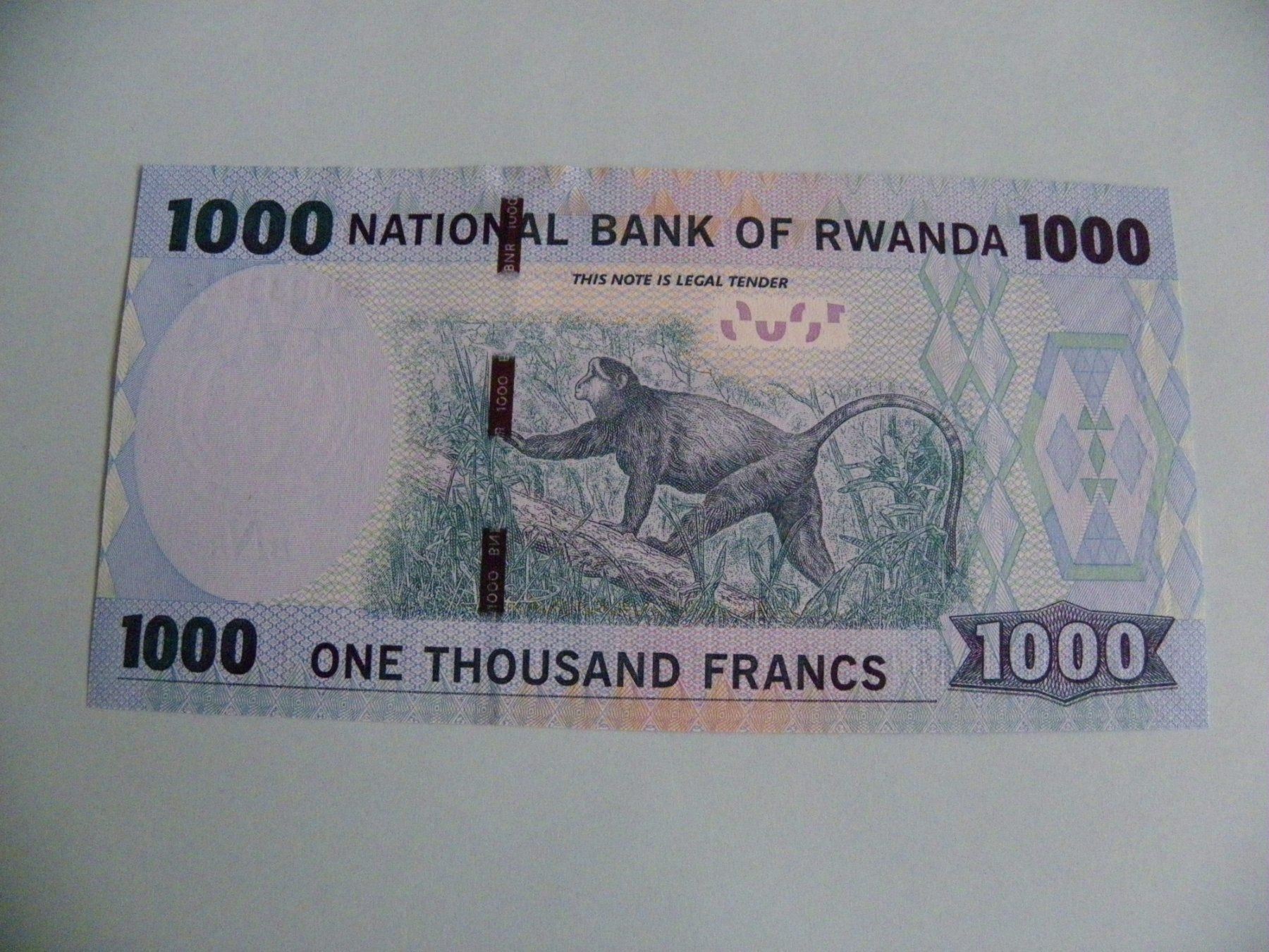 Banconote: Original 1000 Ruanda Francs 2015, Banknote, Zustand Unc – Nuovo (secondo la descrizione) da Untersiggenthal venduto da Gas61 1