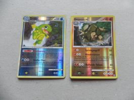 2 Pokémon Sammelkarten 2010 Text Deutsch 120 140 KP glänzend
