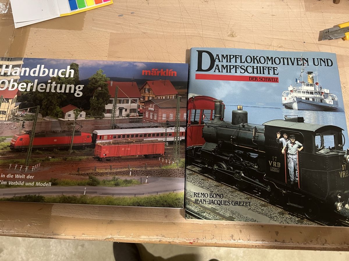 Libri: Eisenbahn Bücher – Usato da Dübendorf venduto da Troggy