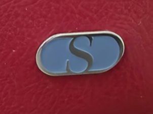 De Sede Divani: Neuwertiger de Sede Sessel – Nuovo (secondo la descrizione) da Döttingen venduto da Kevi85 2