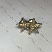 Starfish Stud Earrings Gold Tone Metal
