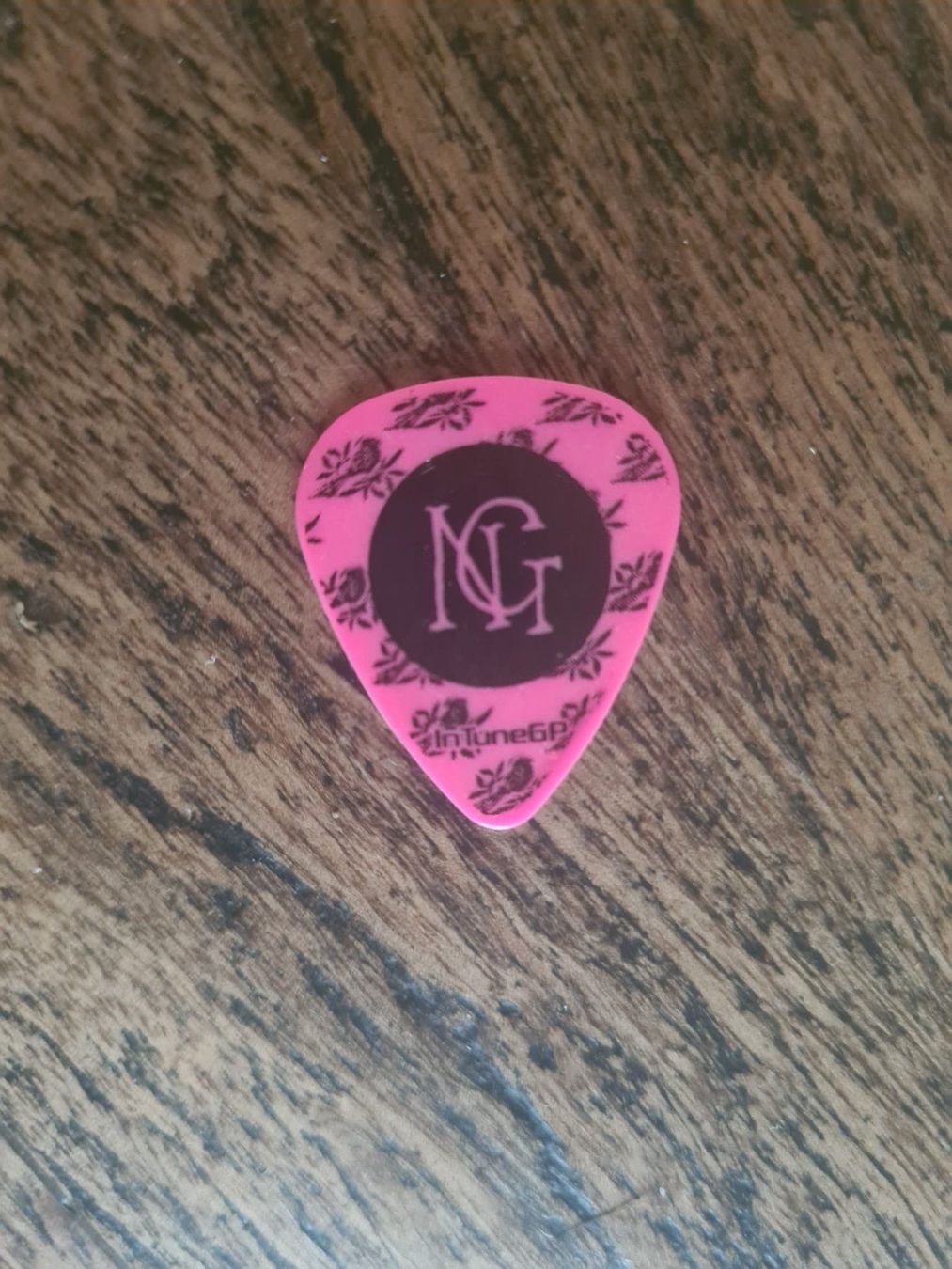 Musikinstrumente: Bayside Nick Guitar Pick Plektrum – Neu (gemäss Beschreibung) aus Zürich von Wickeddude 1