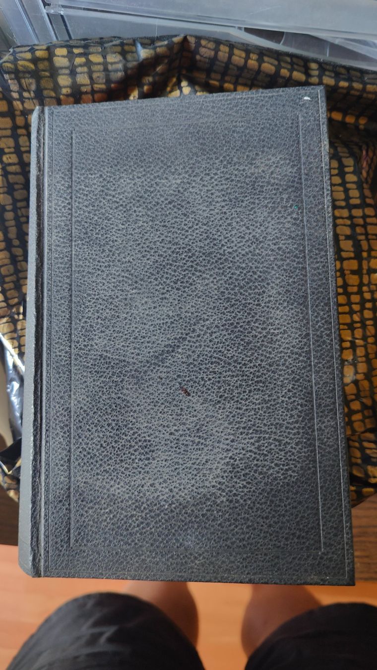 Libri: Zwingli-Bibel 1955 – Usato da Wohlen AG venduto da Chemikus0 1