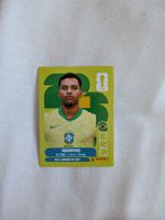 Panini Bild BRA 15