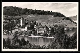 AK Spiez, Schloss, See und Weinberge