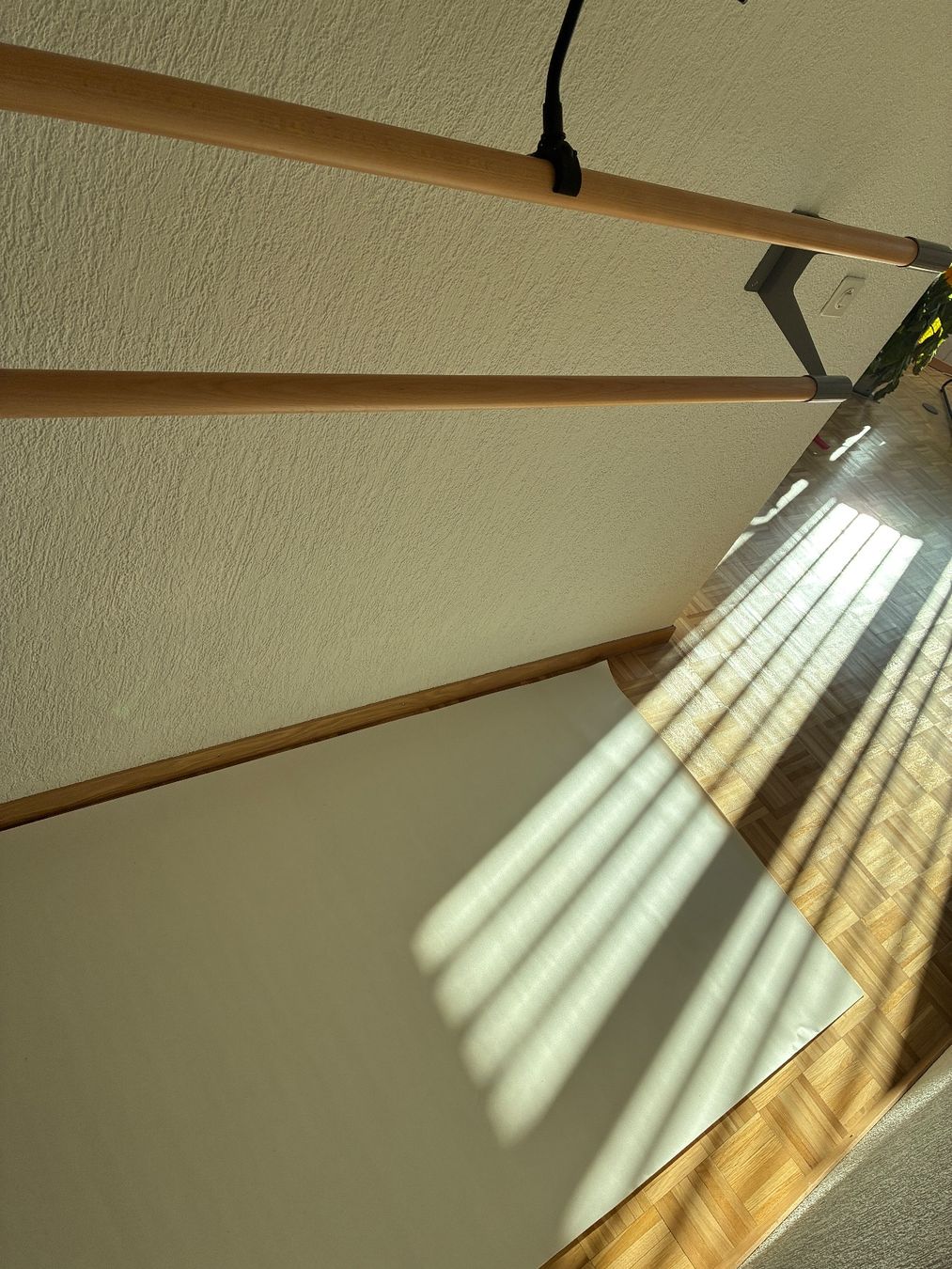 Hometrainer: Ballettstange doppelt mit Bodenmatte – Gebraucht aus Berikon von lynn52 1