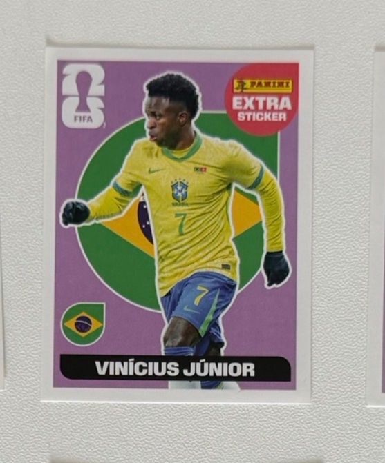 Panini Carte collezionabili: Panini FIFA Extra Sticker Vinicius Junior – Usato da Reiden venduto da CDowner