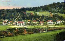 Rämismühle  ZH   mit Dampfeisenbahn     um 1916