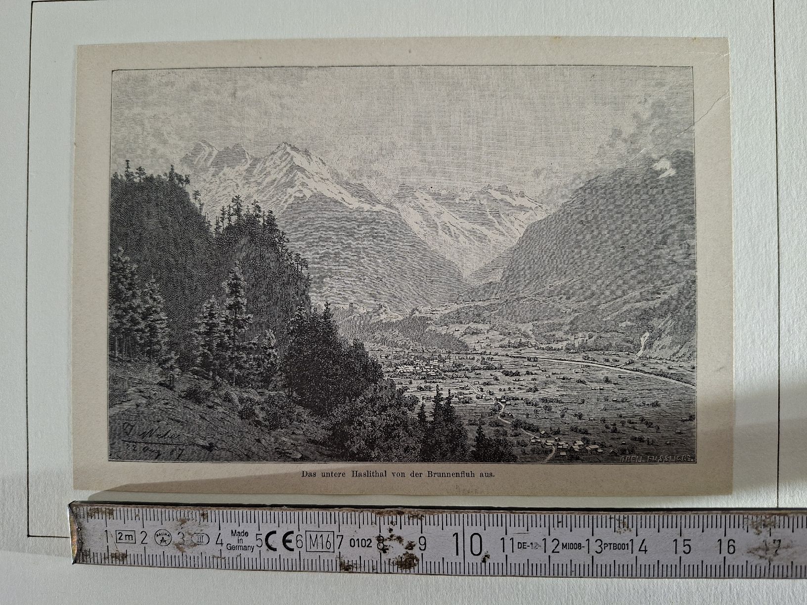Incisioni: Lot 48 , 10 Stiche  – Usato da Grindelwald venduto da carro5