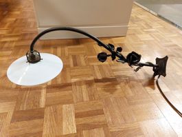 Antike Wandlampe mit Glasschirm und Rosen