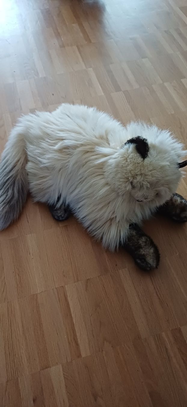 Jouets: Plueschkatze langhaarig creme/braun  – D'occasion à Wittenbach par nic_gvc6