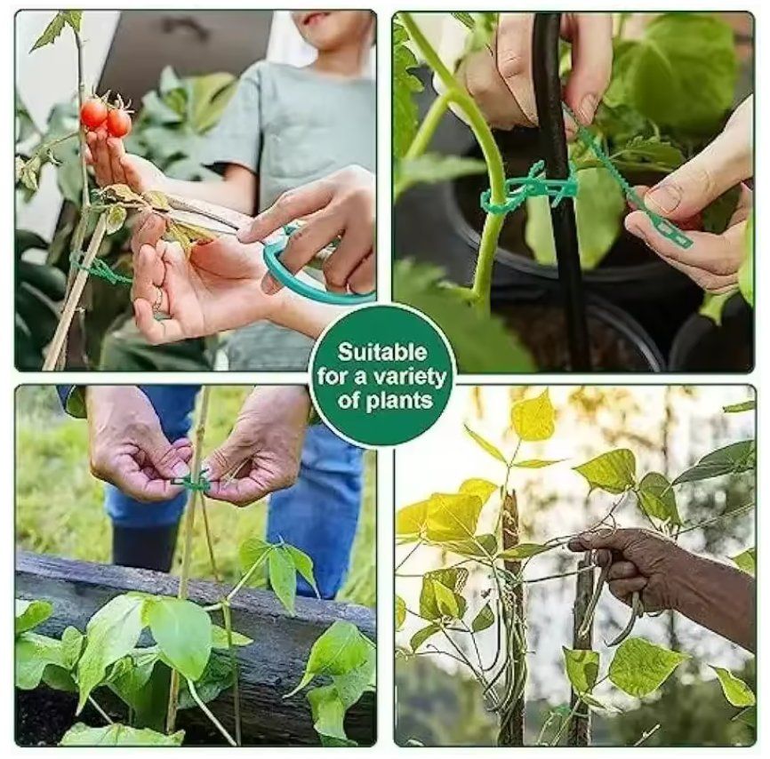 Plantes & graines: Pflanzenbinder 50 Stück 17cm – Neuf avec emballage d'origine à Dintikon par Prime-shop 1