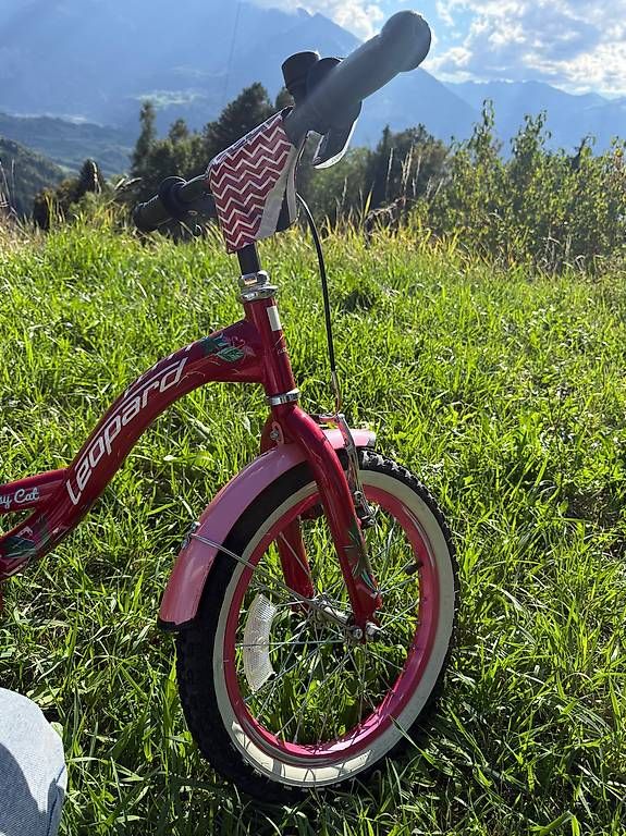 Vélos: Vélo enfant  – D'occasion à Les Posses-sur-Bex par ali_5kpt 3