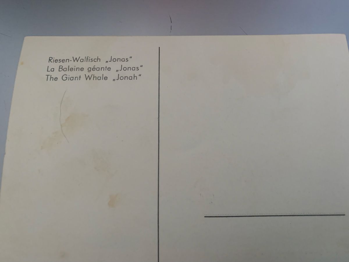 Cartoline postali: Cousset la baleine Jonas – Nuovo (secondo la descrizione) da Cousset venduto da Agorboss 1