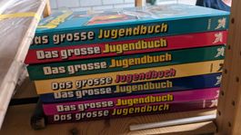 Das grosse Jugendbuch (Ausgaben 1989 bis 1995)