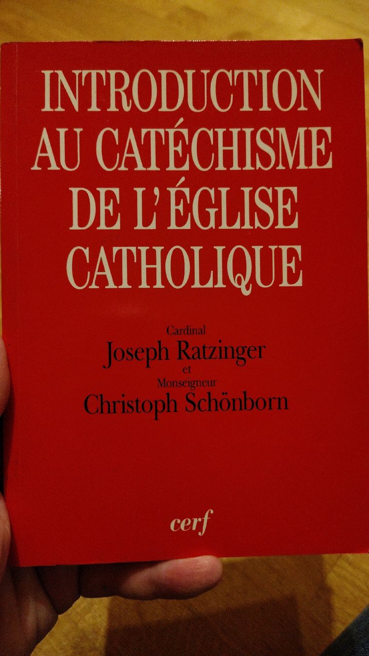 Libri: Introduction au Catéchisme de l'église catholique – Usato da Chernex venduto da ced_zt5y