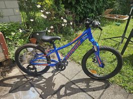 Top Specialized Hotrock 20 Zoll Kinderfahrrad