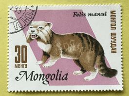 Briefmarken aus  Mongolei gestempelt  Siehe Original Fotos. 