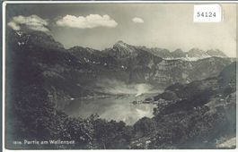 Partie am Wallensee