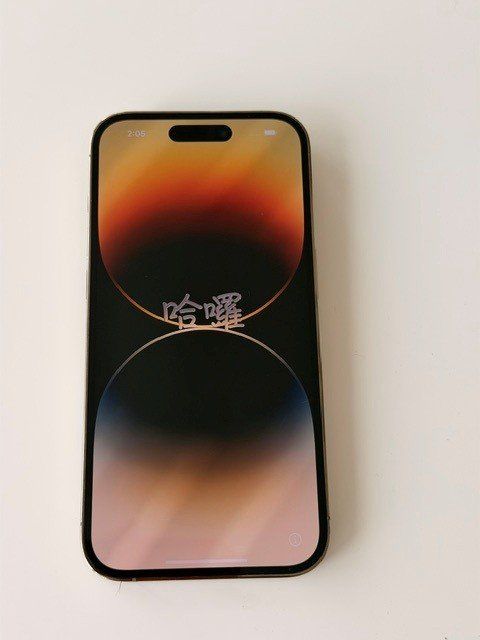 Apple Telefoni cellulari / Smartphones: iPhone 14 Pro 256GB Gold – Usato da Fällanden venduto da Charlie010 1