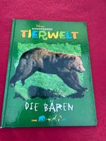 Wunderbare Tierwelt die Bären