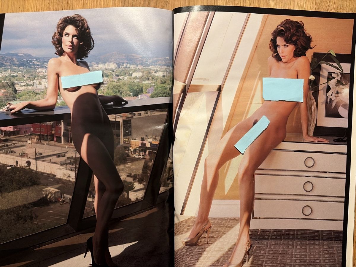 Riviste & Magazine: Playboy Magazin Mai 2009 – Usato da Lengnau BE venduto da tho_8v9x 4